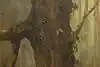 Thumbnail image 13