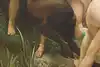Thumbnail image 8