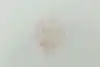 Thumbnail image 11