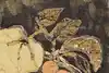 Thumbnail image 9