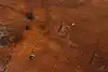 Thumbnail image 21