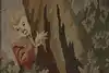 Thumbnail image 7