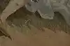 Thumbnail image 8