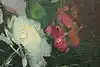 Thumbnail image 9