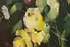 Thumbnail image 8