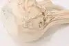 Thumbnail image 9