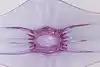 Thumbnail image 8