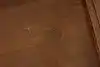 Thumbnail image 21