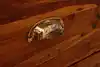 Thumbnail image 19