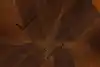 Thumbnail image 12