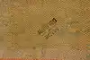 Thumbnail image 13