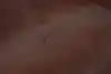 Thumbnail image 16