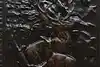 Thumbnail image 1