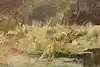 Thumbnail image 9