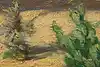 Thumbnail image 9