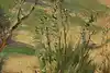 Thumbnail image 12