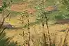 Thumbnail image 8