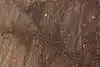 Thumbnail image 5
