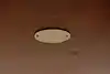 Thumbnail image 20