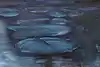 Thumbnail image 11