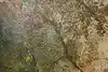 Thumbnail image 9