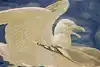 Thumbnail image 8