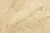 Thumbnail image 8