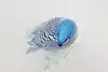 Thumbnail image 7