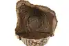 Thumbnail image 10