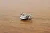 Thumbnail image 18