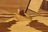 Thumbnail image 7