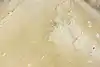 Thumbnail image 7