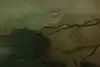 Thumbnail image 7
