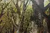 Thumbnail image 6