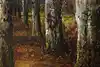 Thumbnail image 7