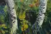 Thumbnail image 8