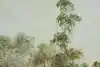 Thumbnail image 11