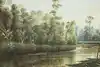 Thumbnail image 1