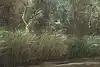 Thumbnail image 7