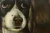 Thumbnail image 9
