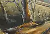 Thumbnail image 7
