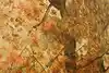 Thumbnail image 10