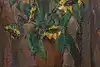 Thumbnail image 1