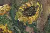 Thumbnail image 5