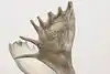 Thumbnail image 12