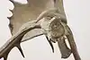 Thumbnail image 16