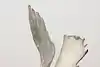 Thumbnail image 6