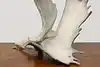Thumbnail image 7