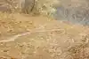 Thumbnail image 8