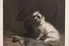 Thumbnail image 1